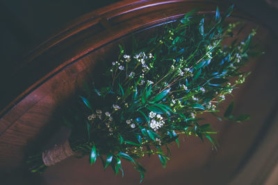 High angle view of plants on table