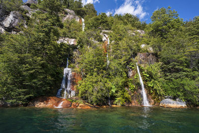 Scenic view of waterfall in forest