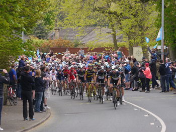 People on road along trees