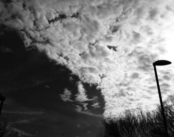 Low angle view of trees against cloudy sky