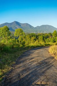 Scenic view of landscape against clear blue sky