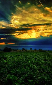 Scenic view of field against sky during sunset