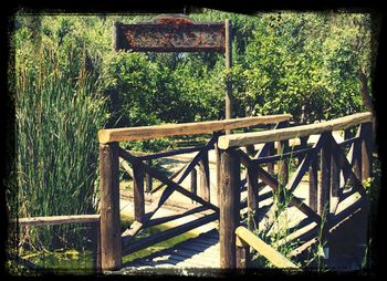 Wooden railing with trees in background