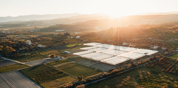 Greenhouse at sunset light. aerial view.