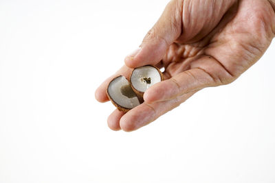 Close-up of hand holding hands against white background