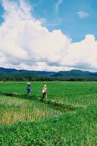 People working on agricultural field against sky