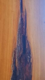 Panoramic view of wood