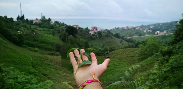 Midsection of person against plants on landscape against sky