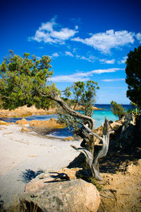 Scenic view of beach against sky