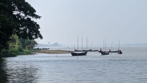 Sailboats sailing on sea against clear sky