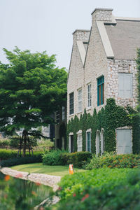 Trees and houses in city against sky