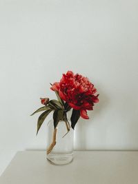 Close-up of red flower vase against white background