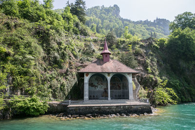 Gazebo by river amidst trees and plants in forest