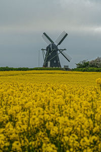 Abandoned windmill