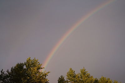 Low angle view of rainbow against sky