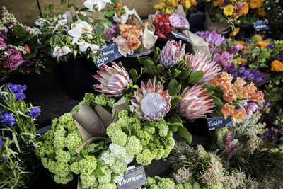 Close-up of multi colored flowers in market