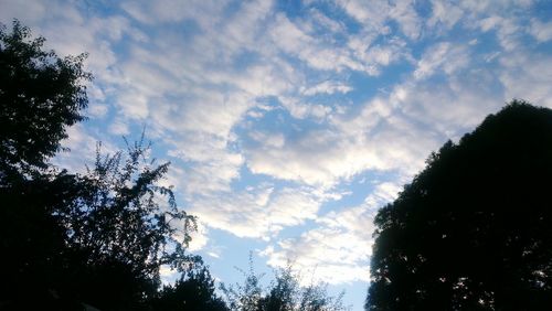 Low angle view of trees against cloudy sky