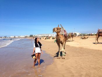 Camel and girl looking to each other in the beach in essauira