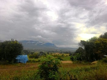 Scenic view of field against sky