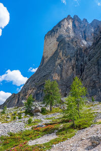 Larch trees at a rugged terrain and a mountain peak