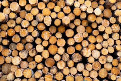 Full frame shot of logs