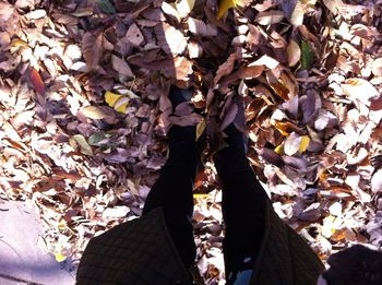 Low section of woman standing on autumn leaves