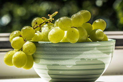 Close-up of grapes