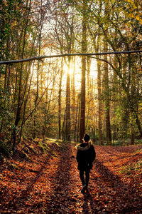 Rear view of woman walking in forest during autumn