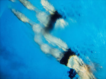 Man swimming in sea