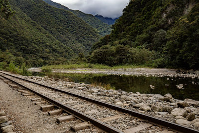 Railroad track by trees against sky