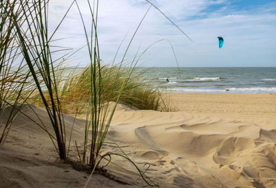 Scenic view of beach against sky