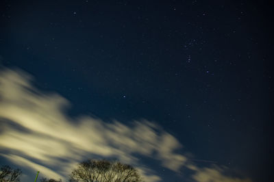 Low angle view of trees against sky at night