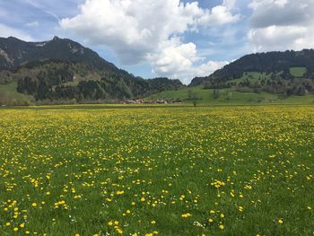 Scenic view of field against cloudy sky