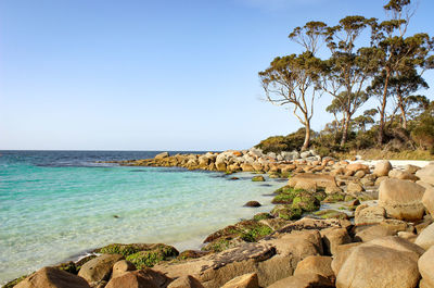 Scenic view of sea against clear sky