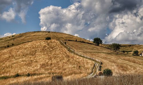Panoramic view of agricultural field against sky