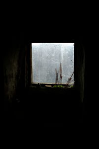 Woman seen through window