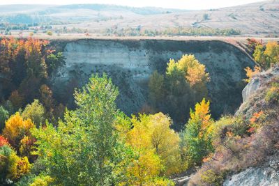 High angle view of trees on landscape