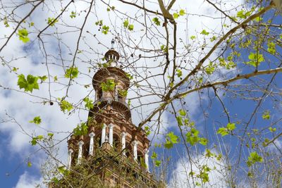 Low angle view of statue by tree against sky