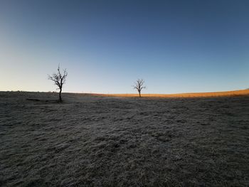 Scenic view of field against clear sky