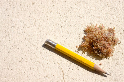 High angle view of colored pencils on sand