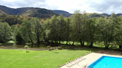 Scenic view of trees by mountains against sky