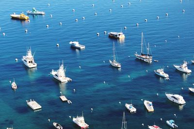 High angle view of sailboats moored in sea