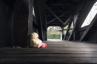 Dog on bridge