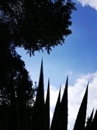 Low angle view of silhouette trees against sky