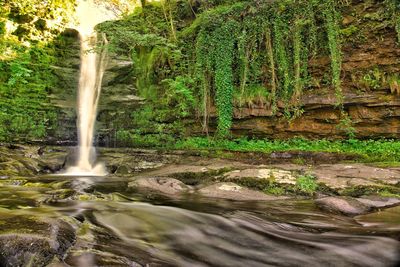 Scenic view of waterfall in forest