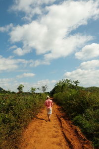 Rear view of man walking amidst plants on dirt road