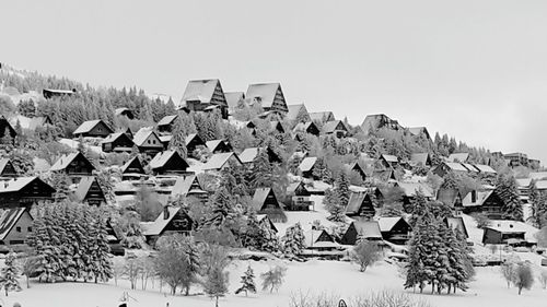 Panoramic view of trees and buildings against clear sky