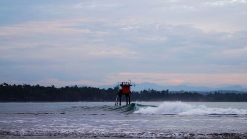 Rear view of person on beach