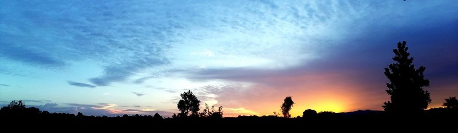 Low angle view of silhouette trees against sky