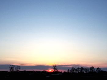 Silhouette trees on field against orange sky